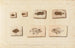 Recherches sur les poissons fossiles Pl396 - Louis Agassiz — artwork view