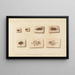 Recherches sur les poissons fossiles Pl396 - Louis Agassiz — framed artwork on a wall