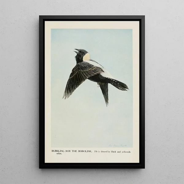 Bob the Meadow Lark - Louis Agassiz Fuertes — framed artwork on a wall