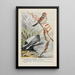 Dotty the tree sparrow Slaty the junco - Louis Agassiz Fuertes — framed artwork on a wall