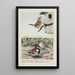 Jenny the wren Bully the English sparrow Chippy the chipping sparrow - Louis Agassiz Fuertes — framed artwork on a wall