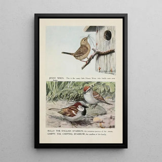 Jenny the wren Bully the English sparrow Chippy the chipping sparrow - Louis Agassiz Fuertes — framed artwork on a wall