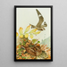 Engoulevent-poor-will - Louis Agassiz Fuertes — framed artwork on a wall