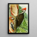 Red-headed Woodpecker - Louis Agassiz Fuertes — framed artwork on a wall