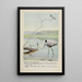 Rattles the Kingfisher Teeter the Grizzled Knight Longlegs the Great Blue Heron - Louis Agassiz Fuertes — framed artwork on a wall