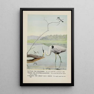 Rattles the Kingfisher Teeter the Grizzled Knight Longlegs the Great Blue Heron - Louis Agassiz Fuertes — framed artwork on a wall