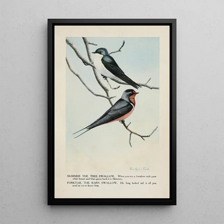 Skimmer l'Hirondelle bicolore Forktail l'Hirondelle rustique - Louis Agassiz Fuertes — framed artwork on a wall