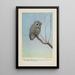 Spooky le Petit-duc - Louis Agassiz Fuertes — framed artwork on a wall
