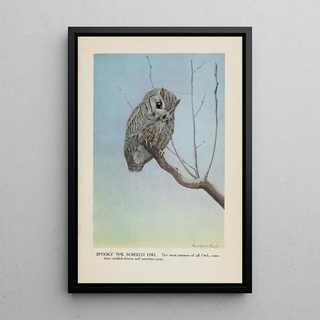 Spooky le Petit-duc - Louis Agassiz Fuertes — framed artwork on a wall