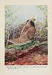 the Strutter le Tétras huppé - Louis Agassiz Fuertes — artwork view