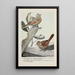 Sweet Voice le Bruant des prés Little Friend le Bruant chanteur - Louis Agassiz Fuertes — framed artwork on a wall
