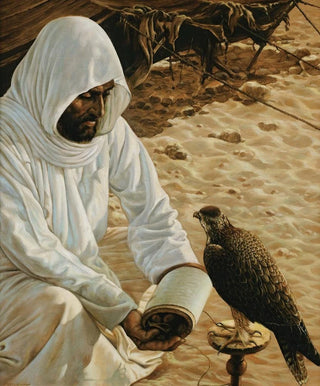 Louis Agassiz Fuertes - The falconer.webp