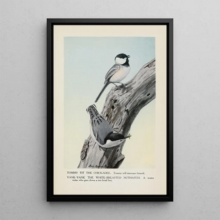 Tommy Tit the Black-capped Chickadee YankYank the White-breasted Nuthatch - Louis Agassiz Fuertes — framed artwork on a wall
