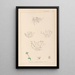 Herbier de la flore française Pl0002 - Louis Antoine Cusin — framed artwork on a wall