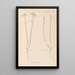 Herbier de la flore française Pl0012 - Louis Antoine Cusin — framed artwork on a wall