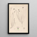 Herbier de la flore française Pl0020 - Louis Antoine Cusin — framed artwork on a wall