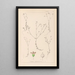 Herbier de la flore française Pl0023 - Louis Antoine Cusin — framed artwork on a wall