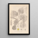 Herbier de la flore française Pl0025 - Louis Antoine Cusin — framed artwork on a wall