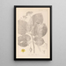 Herbier de la flore française Pl0029 - Louis Antoine Cusin — framed artwork on a wall