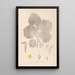Herbier de la flore française Pl0030 - Louis Antoine Cusin — framed artwork on a wall