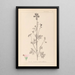 Herbier de la flore française Pl0033 - Louis Antoine Cusin — framed artwork on a wall