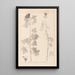 Herbier de la flore française Pl0034 - Louis Antoine Cusin — framed artwork on a wall