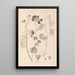Herbier de la flore française Pl0035 - Louis Antoine Cusin — framed artwork on a wall