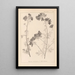 Herbier de la flore française Pl0036 - Louis Antoine Cusin — framed artwork on a wall