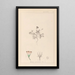 Herbier de la flore française Pl0038 - Louis Antoine Cusin — framed artwork on a wall