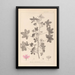 Herbier de la flore française Pl0039 - Louis Antoine Cusin — framed artwork on a wall