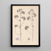 Herbier de la flore française Pl0041 - Louis Antoine Cusin — framed artwork on a wall