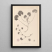 French flora herbarium painting Pl0043 - Louis Antoine Cusin — framed artwork on a wall