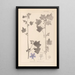Herbier de la flore française Pl0046 - Louis Antoine Cusin — framed artwork on a wall