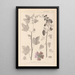 Herbier de la flore française Pl0047 - Louis Antoine Cusin — framed artwork on a wall