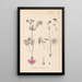 Herbier de la flore française Pl0057 - Louis Antoine Cusin — framed artwork on a wall