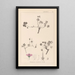 Herbier de la flore française Pl0065 - Louis Antoine Cusin — framed artwork on a wall
