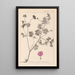 Herbier de la flore française Pl0068 - Louis Antoine Cusin — framed artwork on a wall