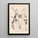 Herbier de la flore française Pl0071 - Louis Antoine Cusin — framed artwork on a wall