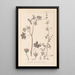 Herbier de la flore française Pl0075 - Louis Antoine Cusin — framed artwork on a wall