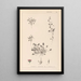 Herbier de la flore française Pl0081 - Louis Antoine Cusin — framed artwork on a wall