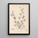 Herbier de la flore française Pl0083 - Louis Antoine Cusin — framed artwork on a wall