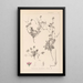 Herbier de la flore française Pl0085 - Louis Antoine Cusin — framed artwork on a wall