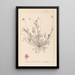 Herbier de la flore française Pl0091 - Louis Antoine Cusin — framed artwork on a wall