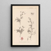 Herbier de la flore française Pl0093 - Louis Antoine Cusin — framed artwork on a wall