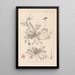 Herbier de la flore française Pl0094 - Louis Antoine Cusin — framed artwork on a wall