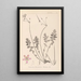 Herbier de la flore française Pl0095 - Louis Antoine Cusin — framed artwork on a wall