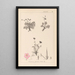 Herbier de la flore française Pl0096 - Louis Antoine Cusin — framed artwork on a wall