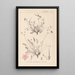 Herbier de la flore française Pl0097 - Louis Antoine Cusin — framed artwork on a wall