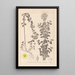 Herbier de la flore française Pl0101 - Louis Antoine Cusin — framed artwork on a wall