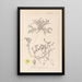 Herbier de la flore française Pl0102 - Louis Antoine Cusin — framed artwork on a wall
